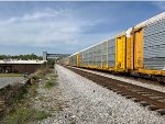 TTGX 835147